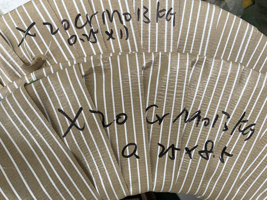 Striscia fenduta di acciaio inossidabile X20CrMo13 in en 1,4120 della bobina